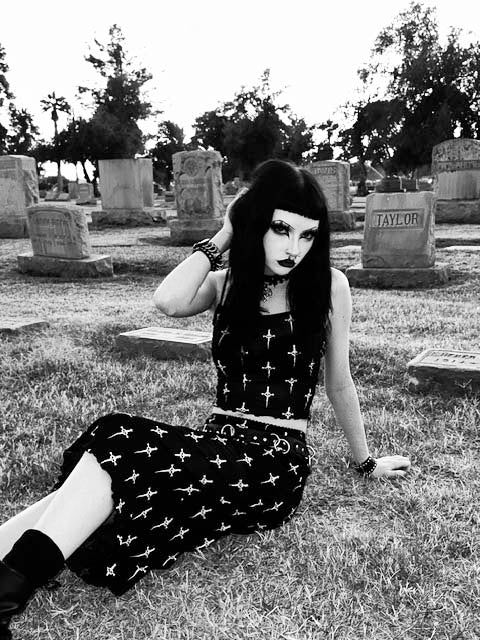 Dagger Print Mesh Midi Skirt - Image 3